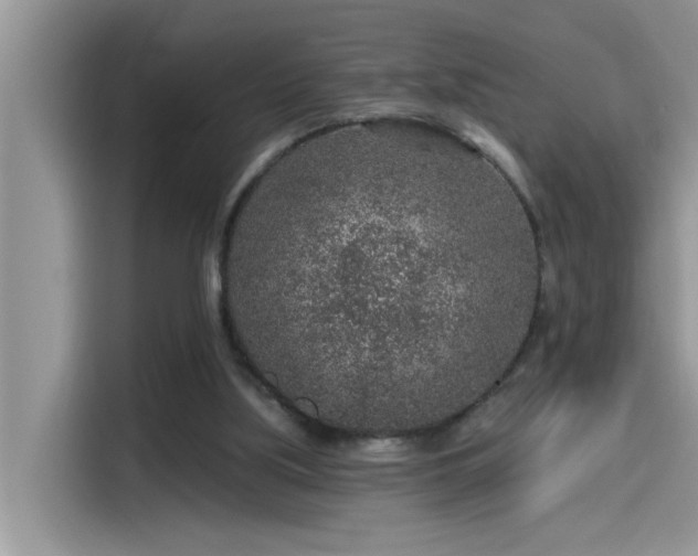 X0000115630059200911171344