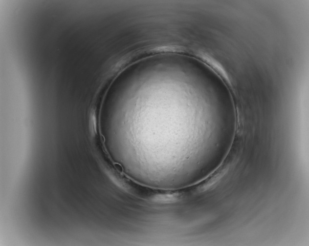 X0000115630061200911171344