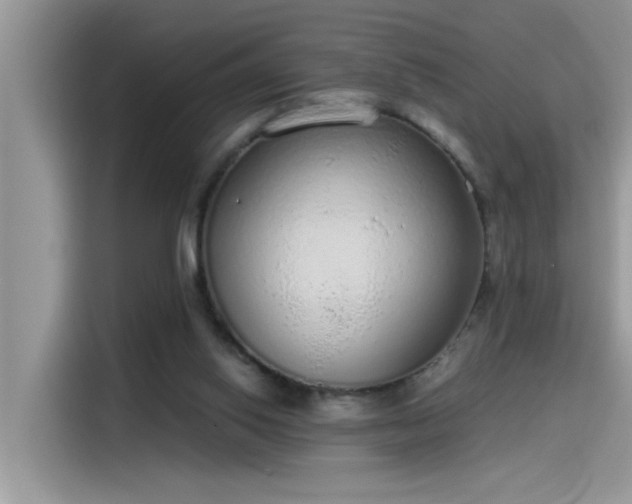 X0000115630062200911171344