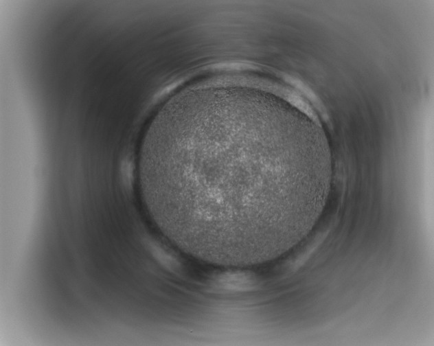 X0000115630063200911171344