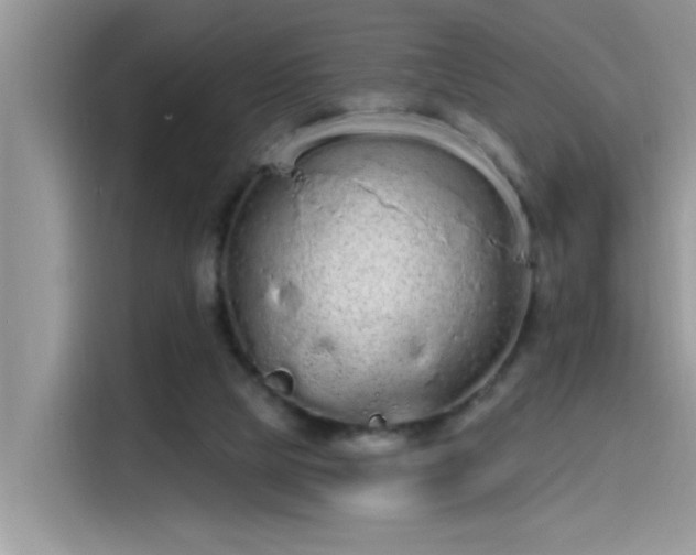 X0000115630065200911171344