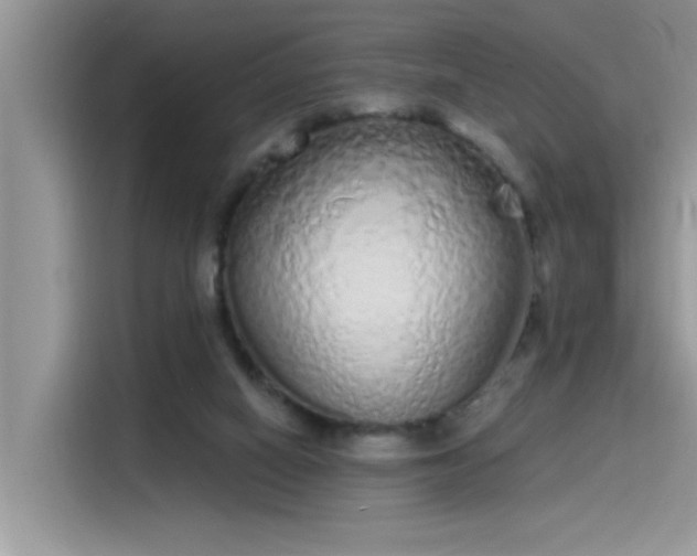 X0000115630066200911171344