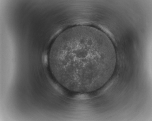 X0000115630067200911171344