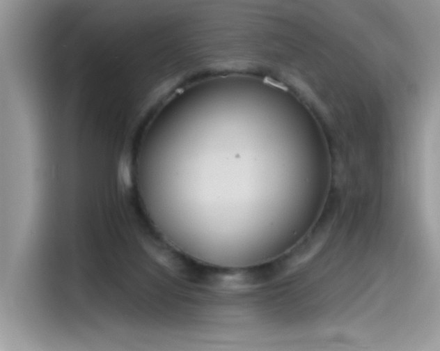 X0000115630068200911171344