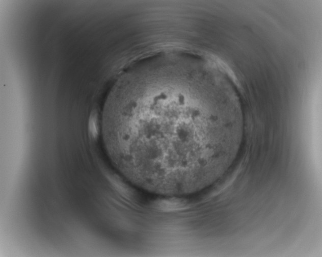 X0000115630069200911171344