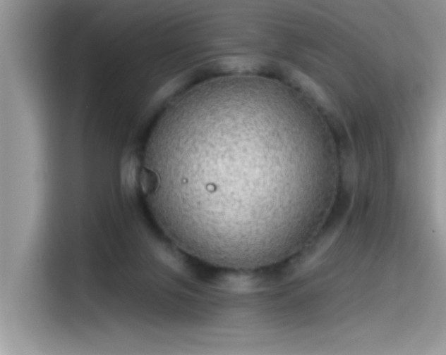 X0000115630071200911171344