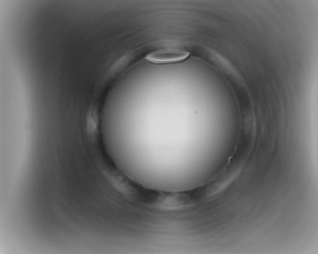 X0000115630072200911171344