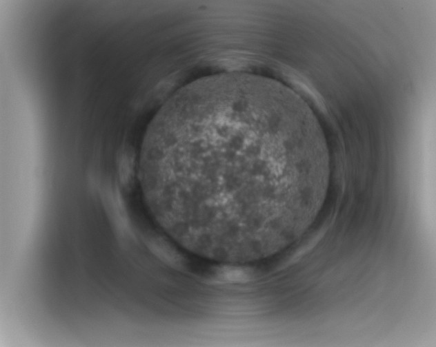 X0000115630073200911171344