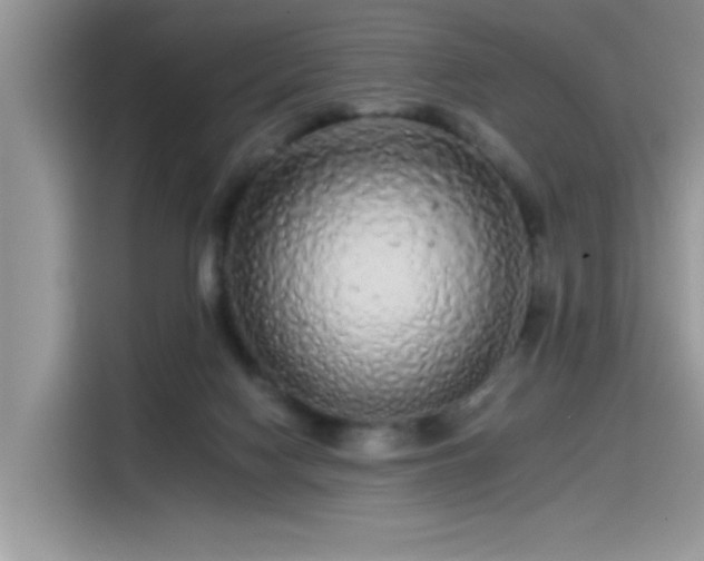 X0000115630074200911171344