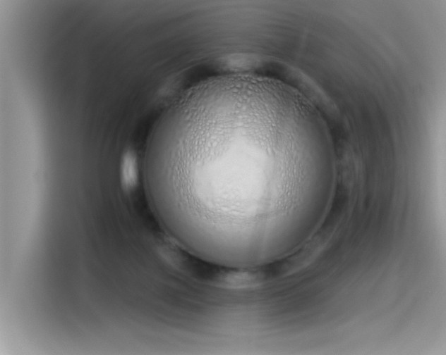 X0000115630075200911171344