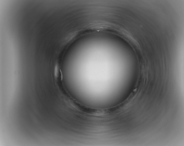 X0000115630076200911171344