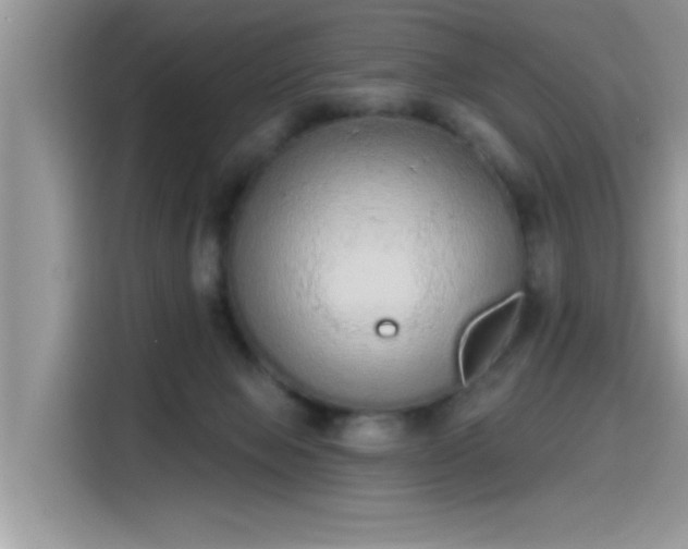 X0000115630077200911171344