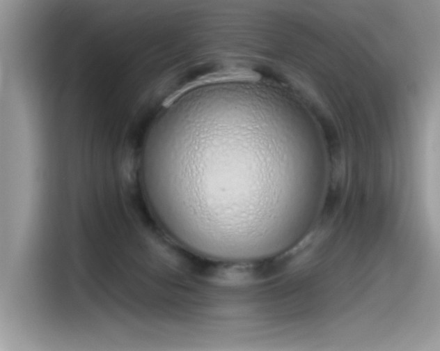 X0000115630078200911171344