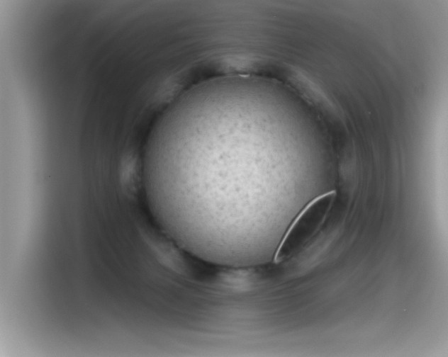 X0000115630079200911171344