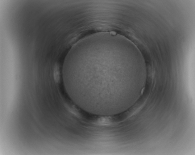 X0000115630080200911171344