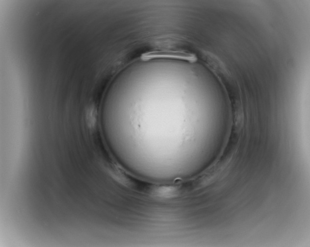 X0000115630081200911171344