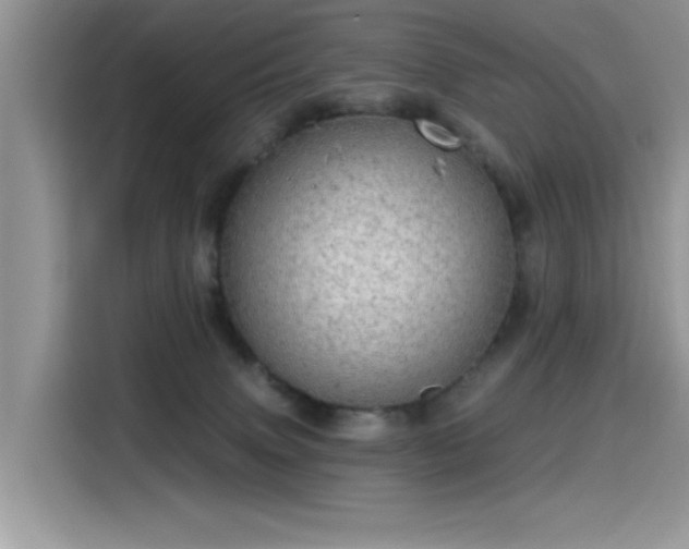 X0000115630083200911171344