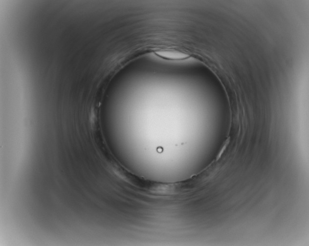 X0000115630084200911171344