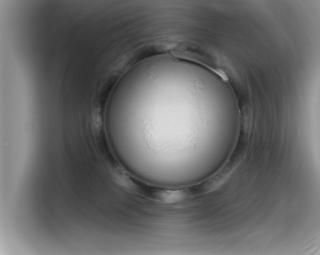 X0000115630085200911171344