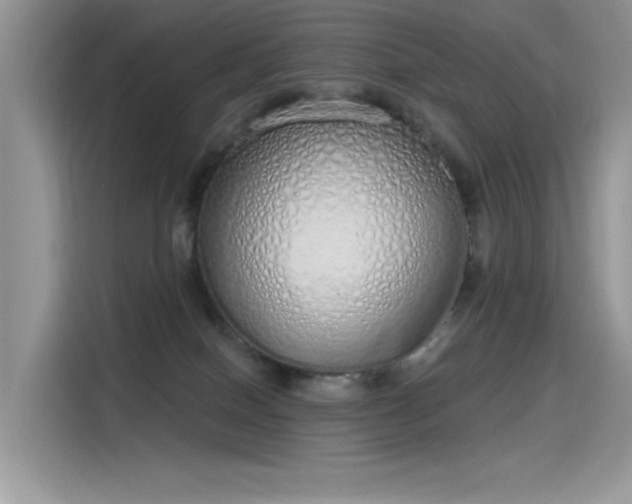 X0000115630086200911171344