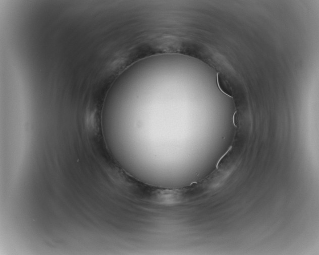 X0000115630088200911171344