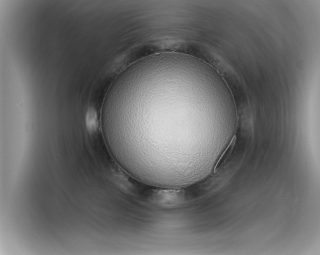 X0000115630089200911171344