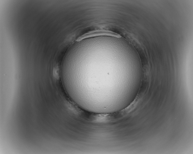 X0000115630090200911171344