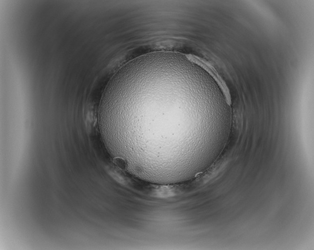 X0000115630091200911171344