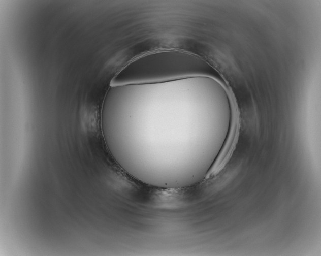 X0000115630092200911171344