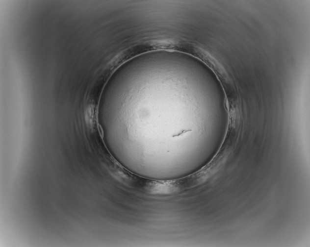 X0000115630093200911171344