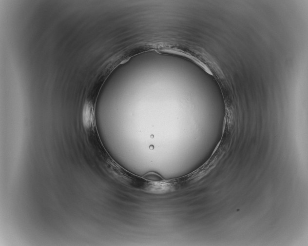 X0000115630095200911171344