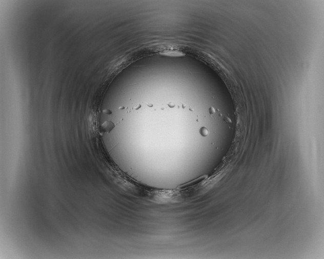 X0000115630096200911171344