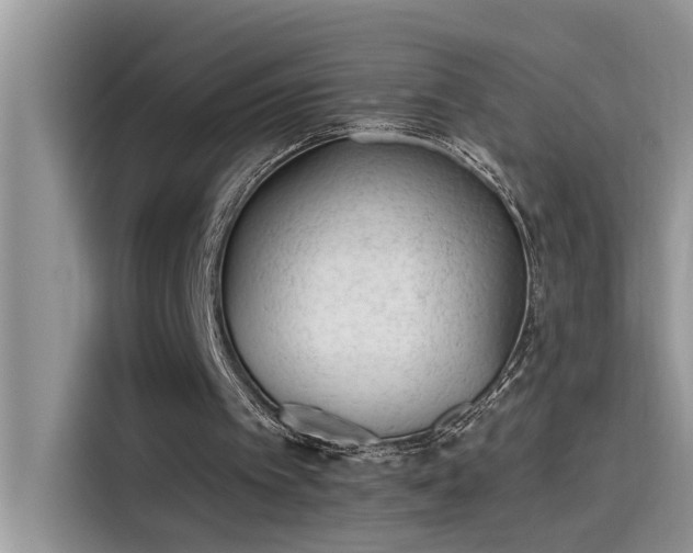 X0000115630097200911171344