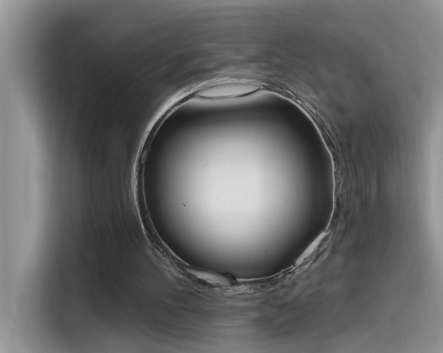 X0000115630100200911171344