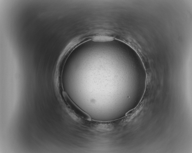 X0000115630101200911171344