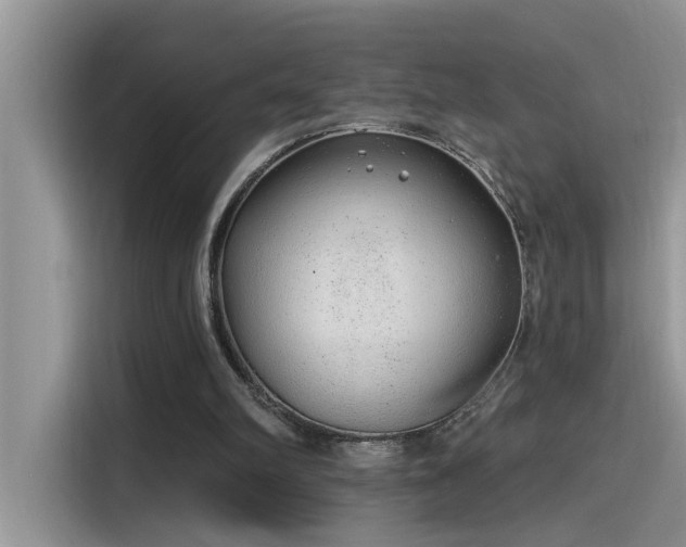 X0000115630102200911171344