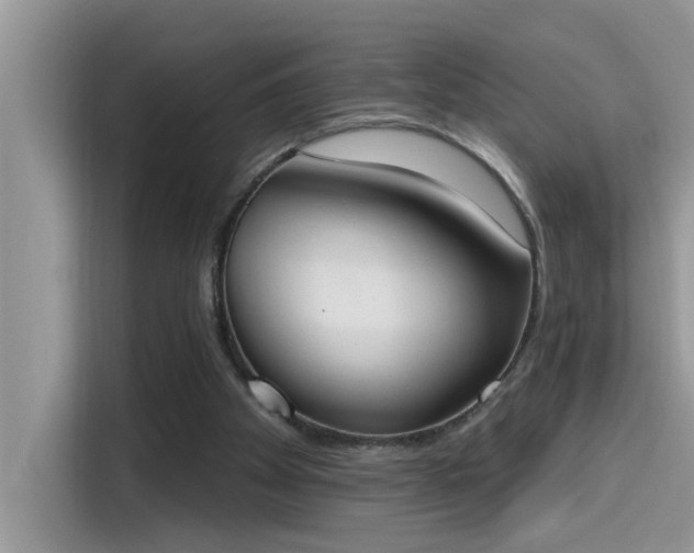 X0000115630105200911171344