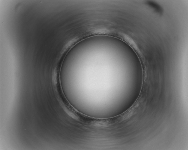 X0000115630106200911171344