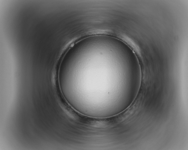 X0000115630107200911171344