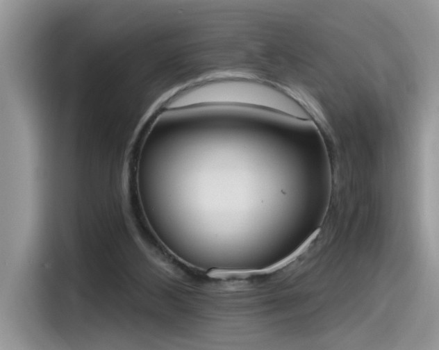 X0000115630108200911171344