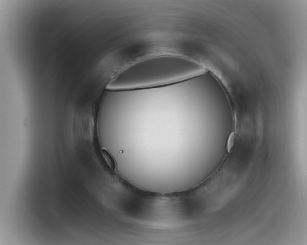 X0000115630109200911171344