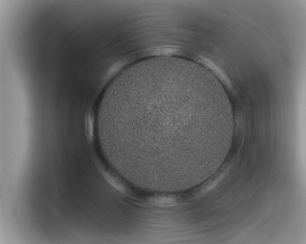 X0000115630110200911171344