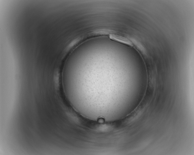 X0000115630111200911171344