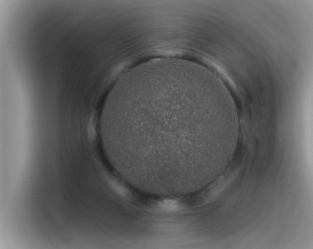 X0000115630114200911171344