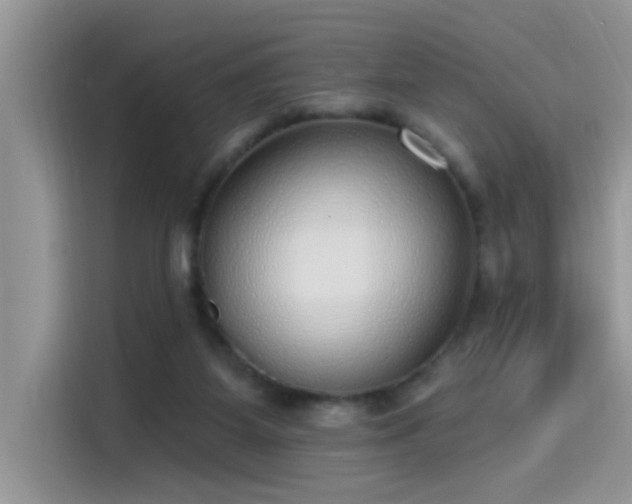 X0000115630115200911171344