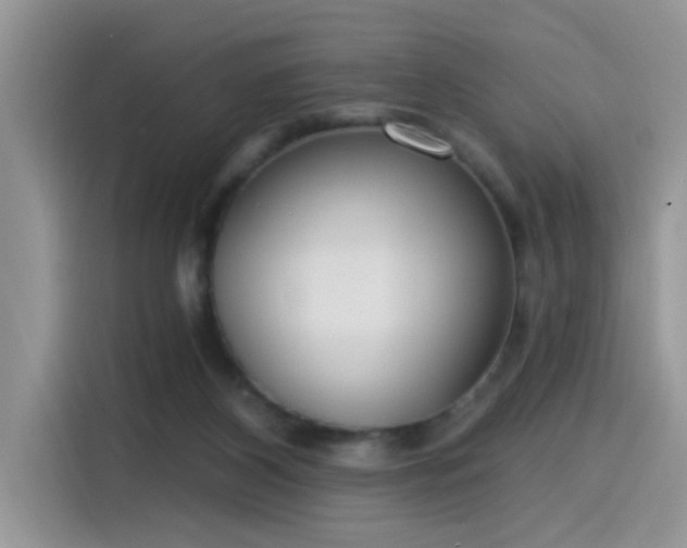 X0000115630116200911171344