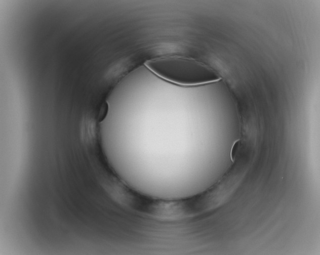 X0000115630117200911171344