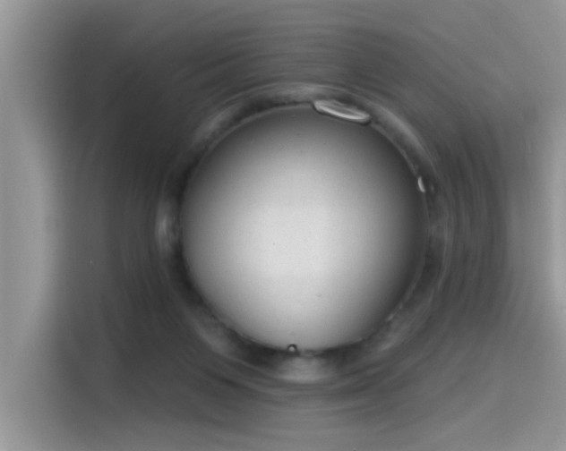 X0000115630119200911171343