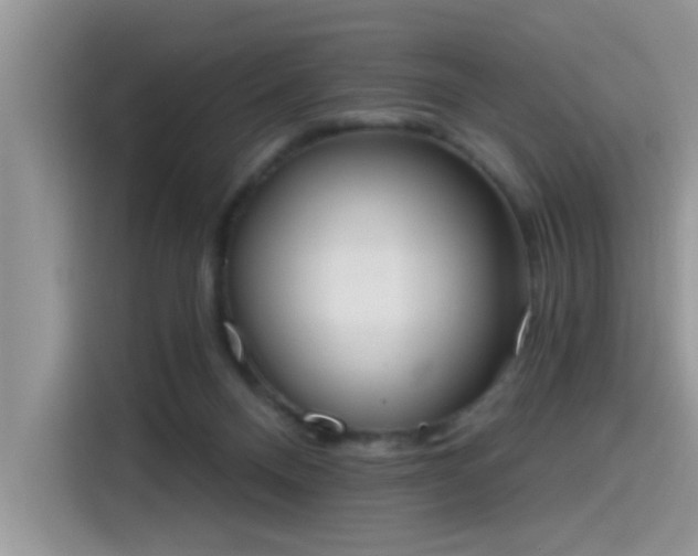 X0000115630120200911171343