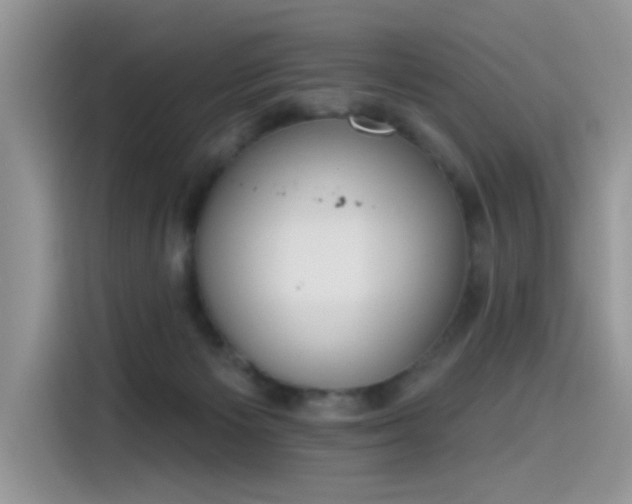 X0000115630125200911171343